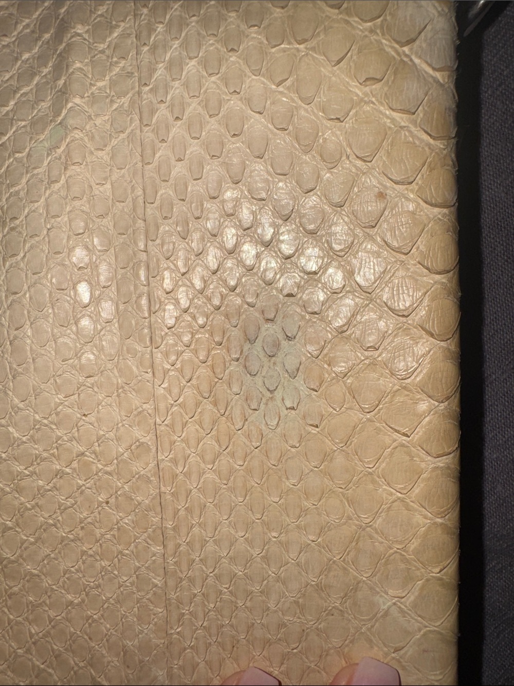 Celine Blade Shoulder Bag Python - Picture 7 of 7